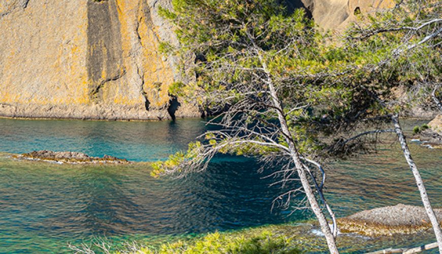 Calanque du Mugel La Ciotat