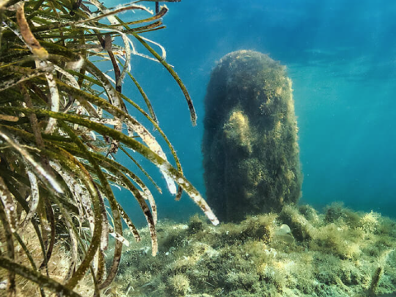 Statues de Jason Decaires Taylor